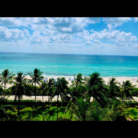 Meet your Posher, Tanae - Picture 1 of 1